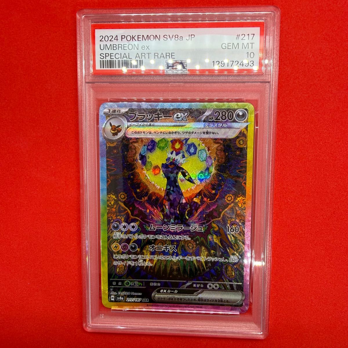 SAR ブラッキーex PSA10 テラスタルフェスex SV8a ポケモンカード