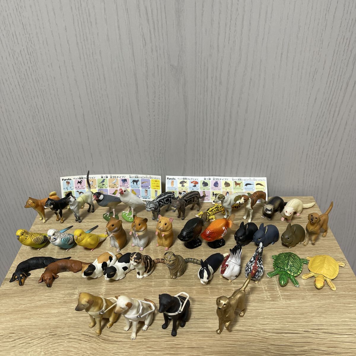 Yahoo!オークション -「チョコエッグ シークレット動物」の落札相場