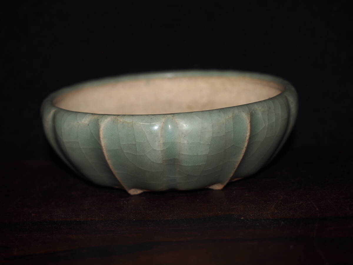 Yahoo!オークション -「堀江」(盆栽) の落札相場・落札価格