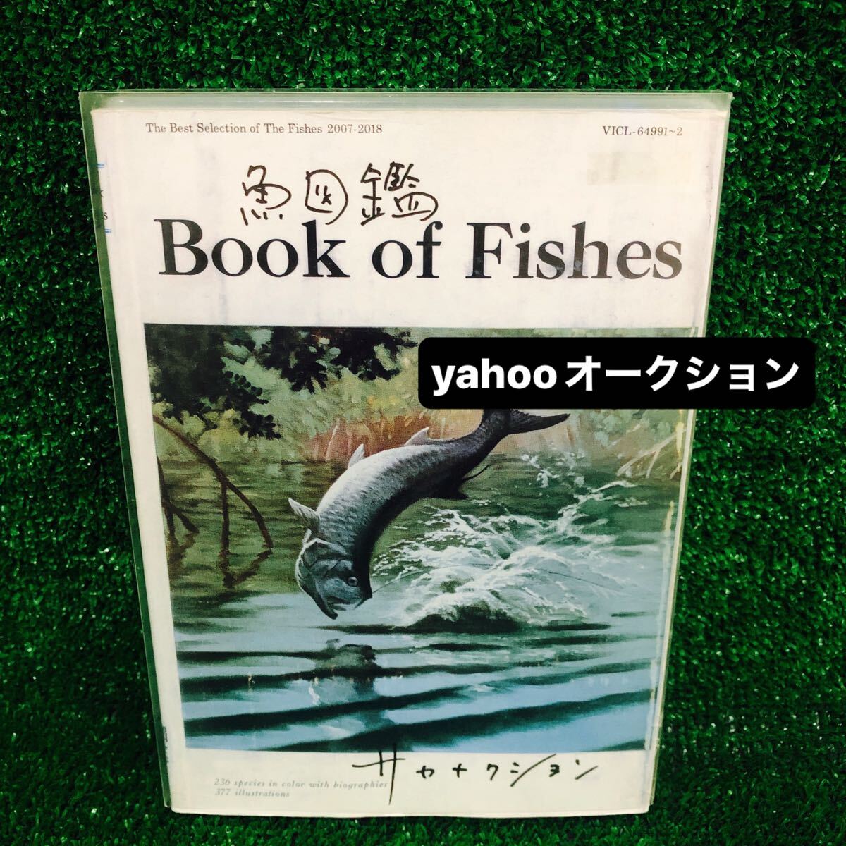 Yahoo!オークション -「サカナクション 魚図鑑」の落札相場・落札価格