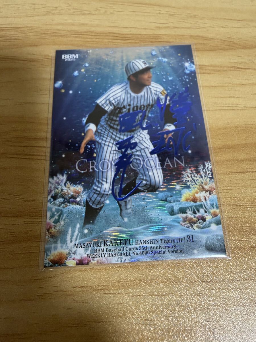 2026年最新】Yahoo!オークション -掛布 サインの中古品・新品・未使用