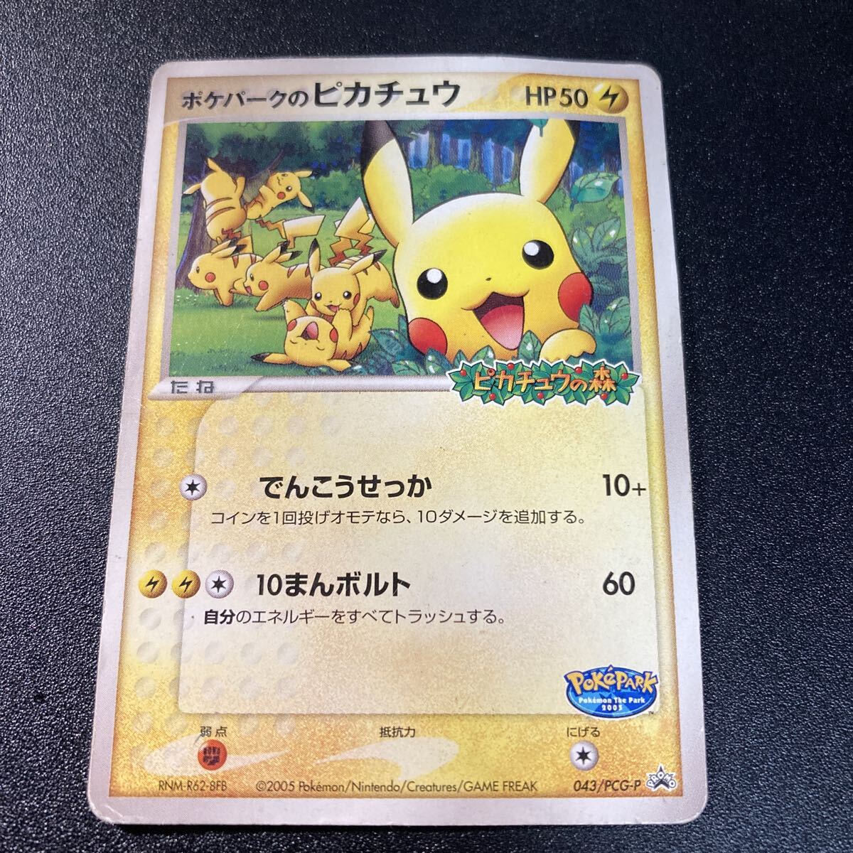 Yahoo!オークション -「ポケパークのピカチュウ」の落札相場・落札価格