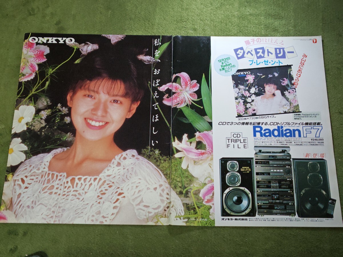 2026年最新】Yahoo!オークション -南野陽子onkyoの中古品・新品・未