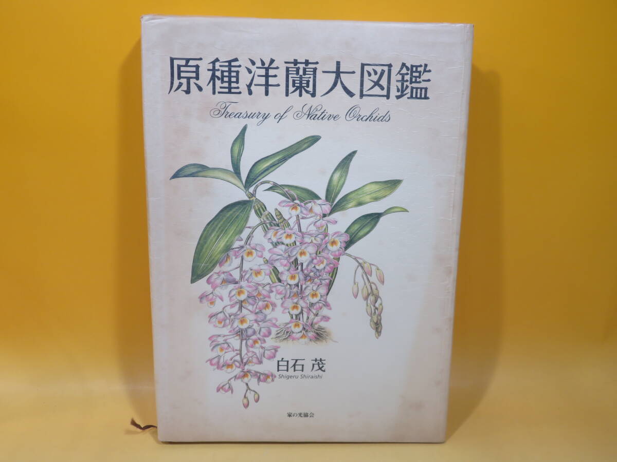 Yahoo!オークション -「洋蘭」(本、雑誌) の落札相場・落札価格