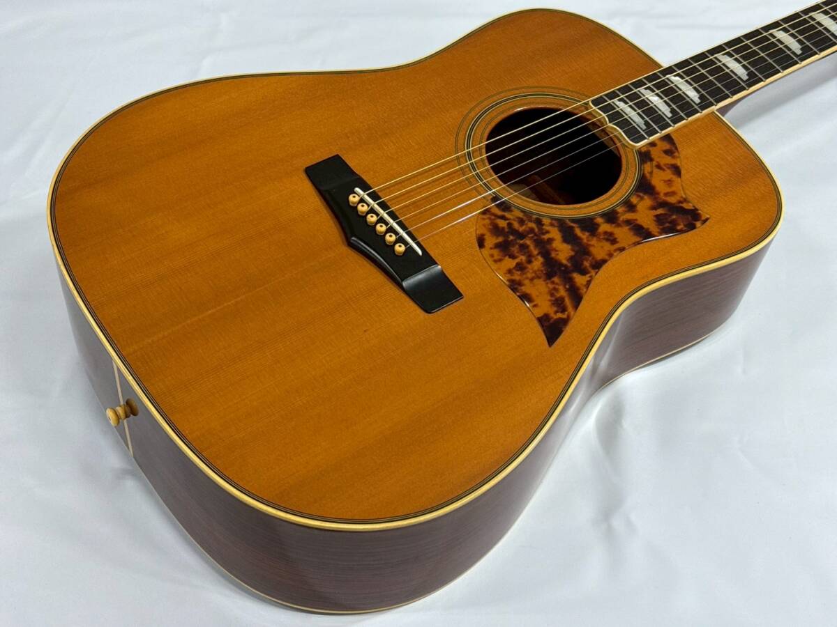 Yahoo!オークション -「n700」(アコースティックギター) (ギター)の