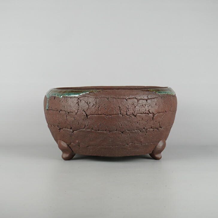 Yahoo!オークション -「十王堂松泉造」(盆栽用具) (盆栽)の落札相場