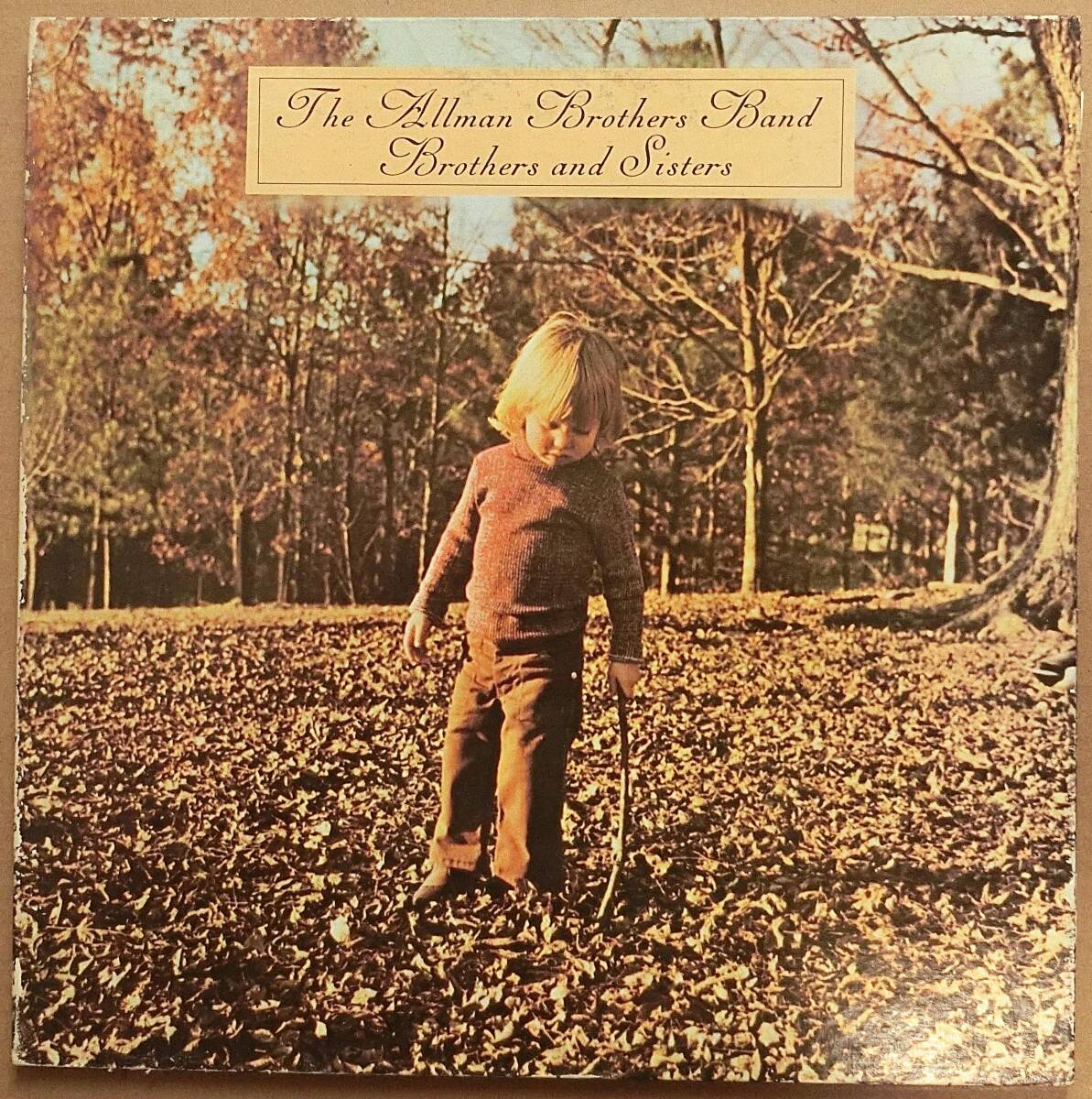 Yahoo!オークション -「オールマンブラザーズバンド lp」(レコード) の