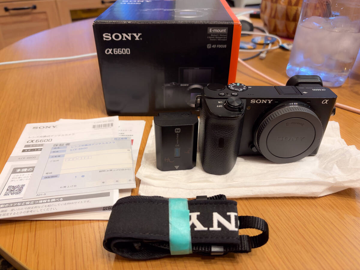 Yahoo!オークション -「sony α6600」の落札相場・落札価格