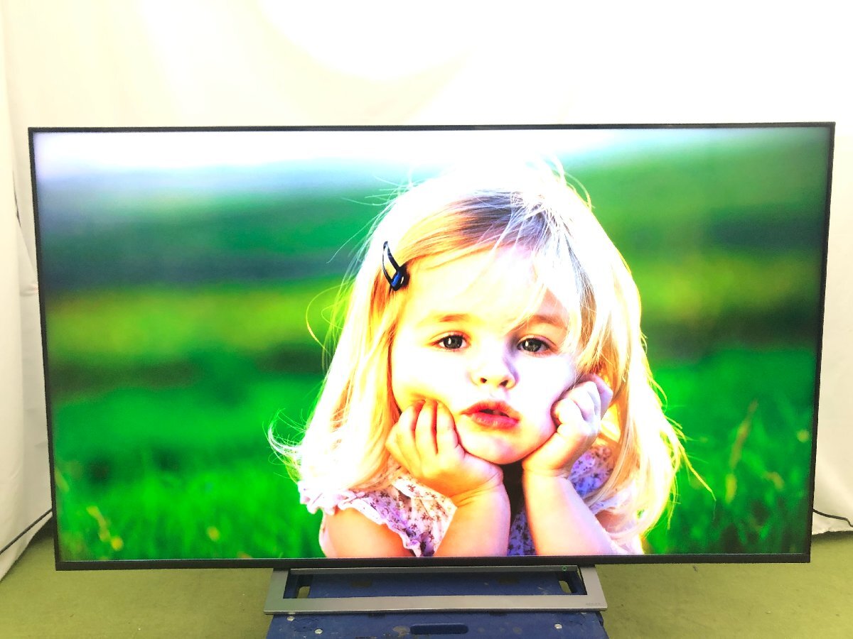 Yahoo!オークション -「regza 65m530x」の落札相場・落札価格