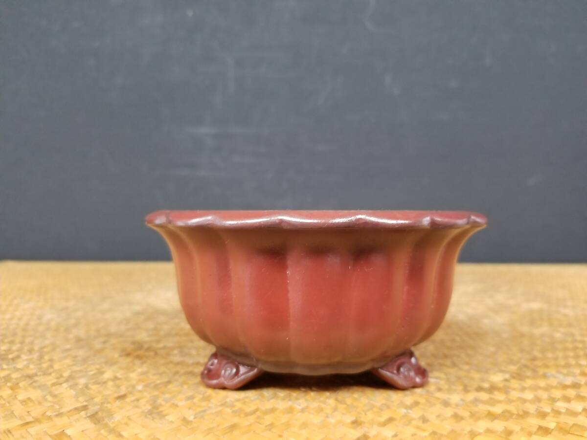 Yahoo!オークション -「美芸 鉢」の落札相場・落札価格