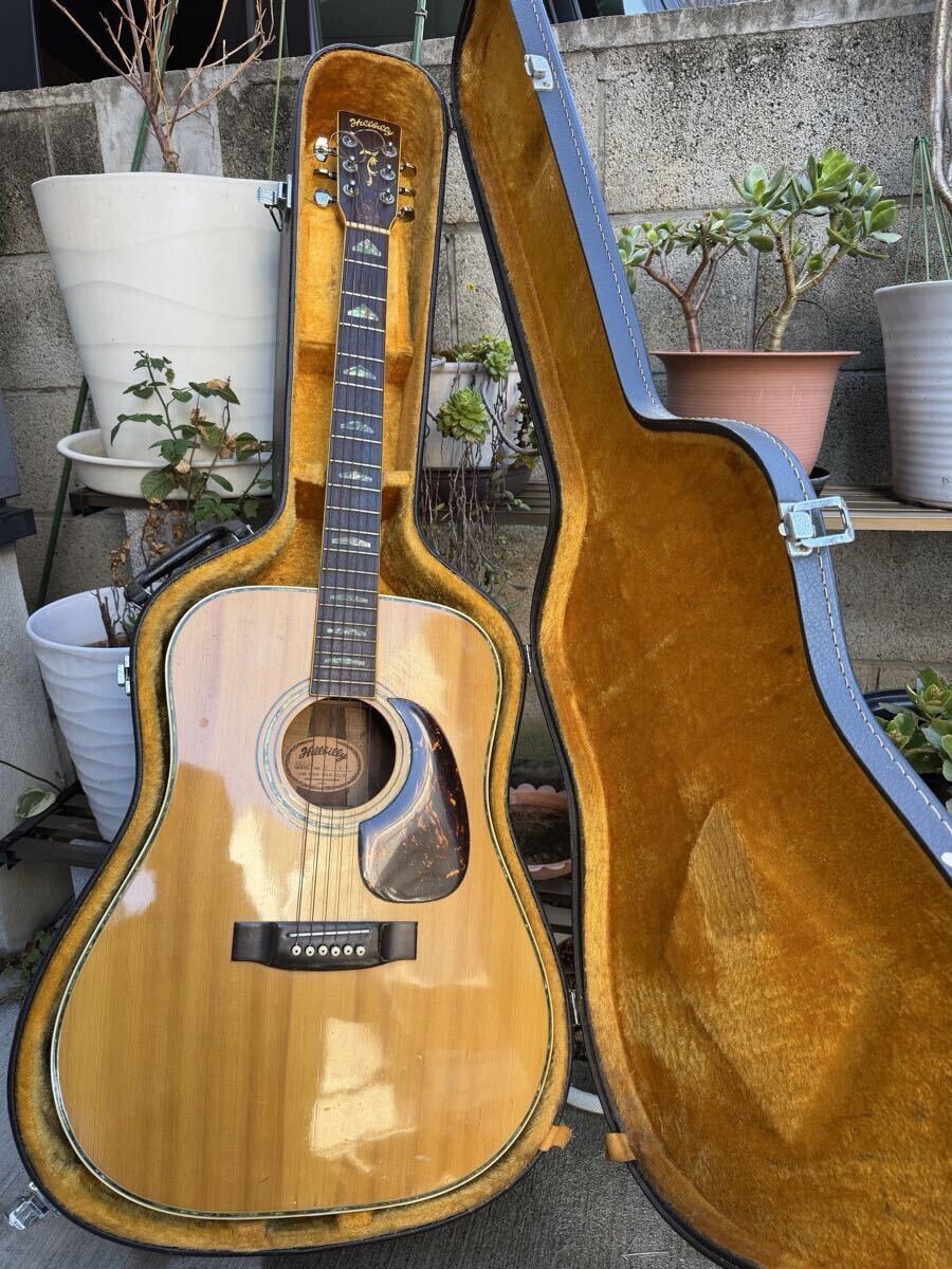 Yahoo!オークション -「hillbilly」(アコースティックギター) (ギター