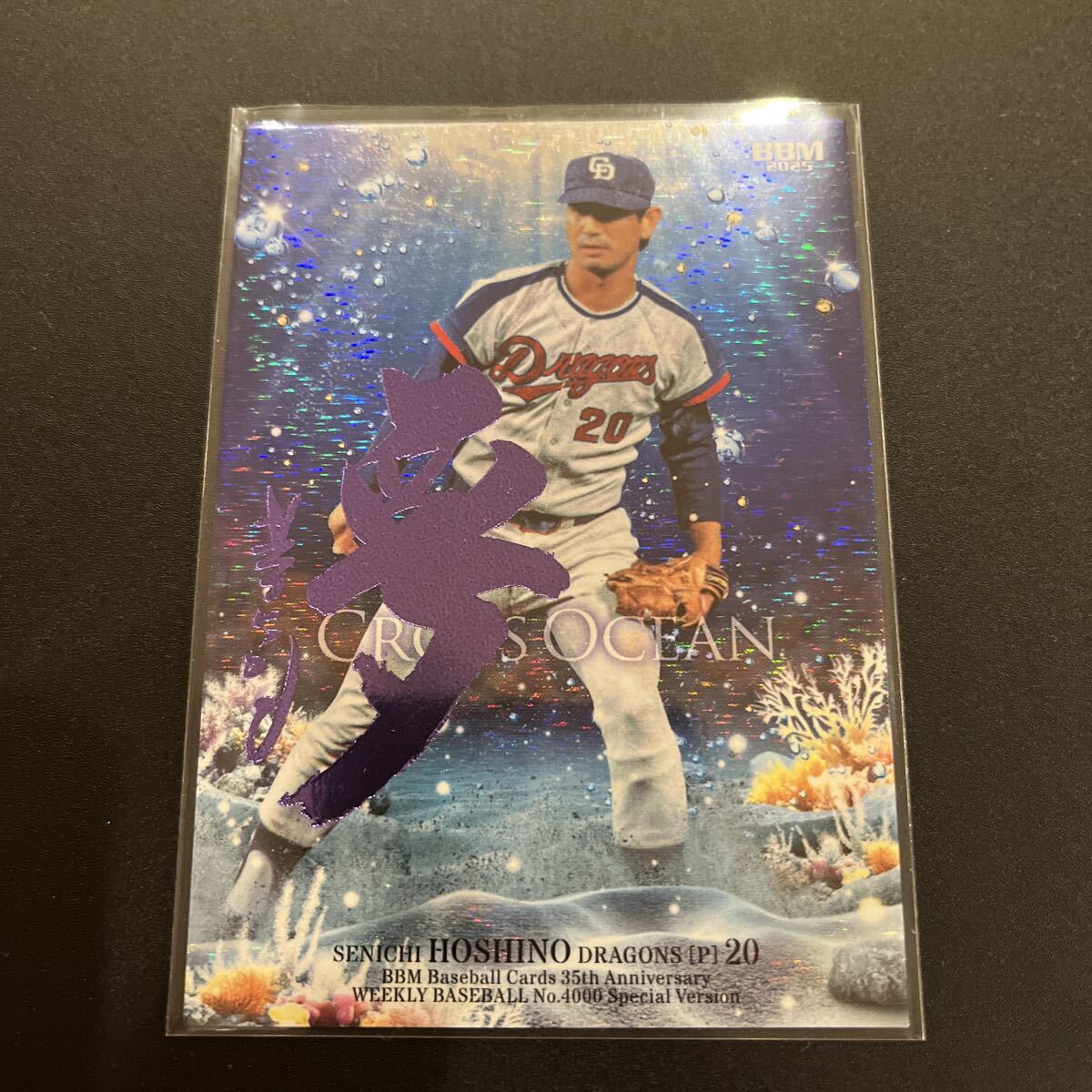 Yahoo!オークション -「星野仙一 カード」(野球) (スポーツ)の落札相場