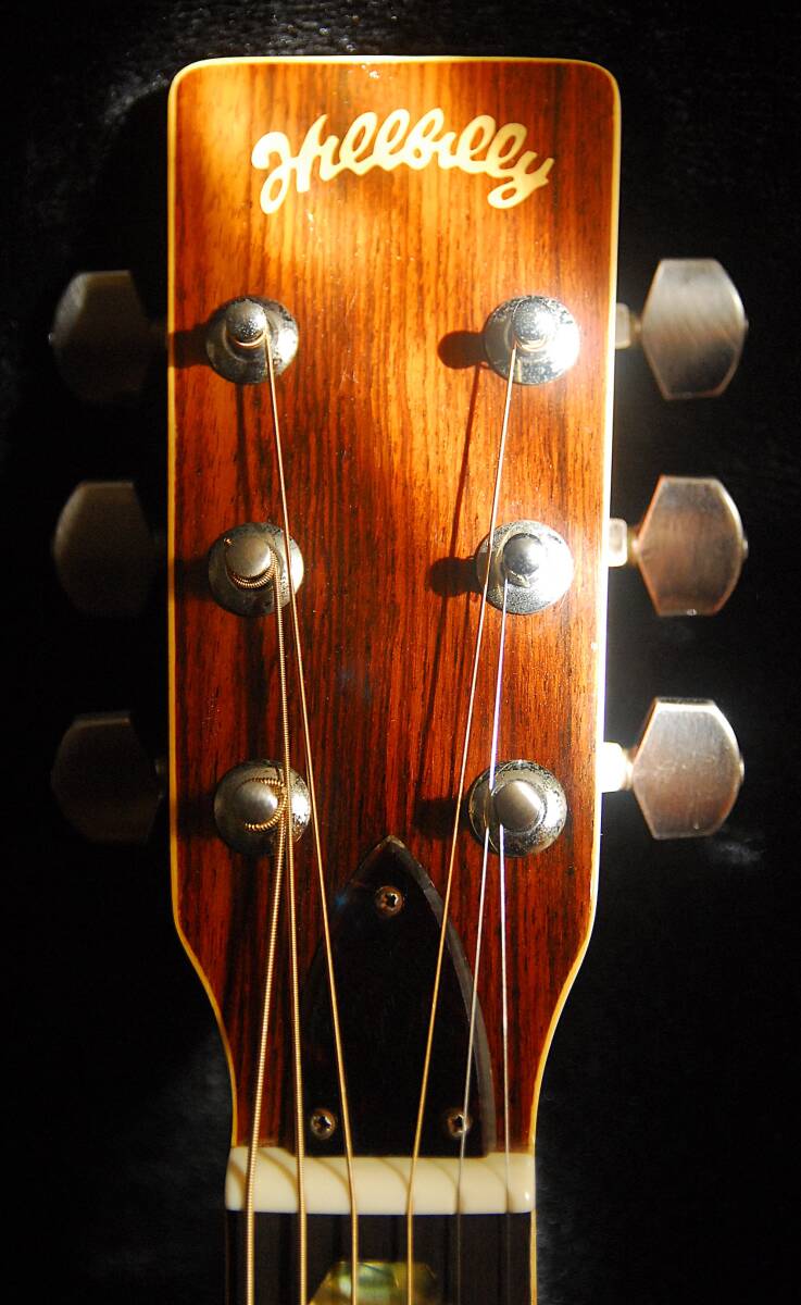 Yahoo!オークション -「hillbilly」(アコースティックギター) (ギター