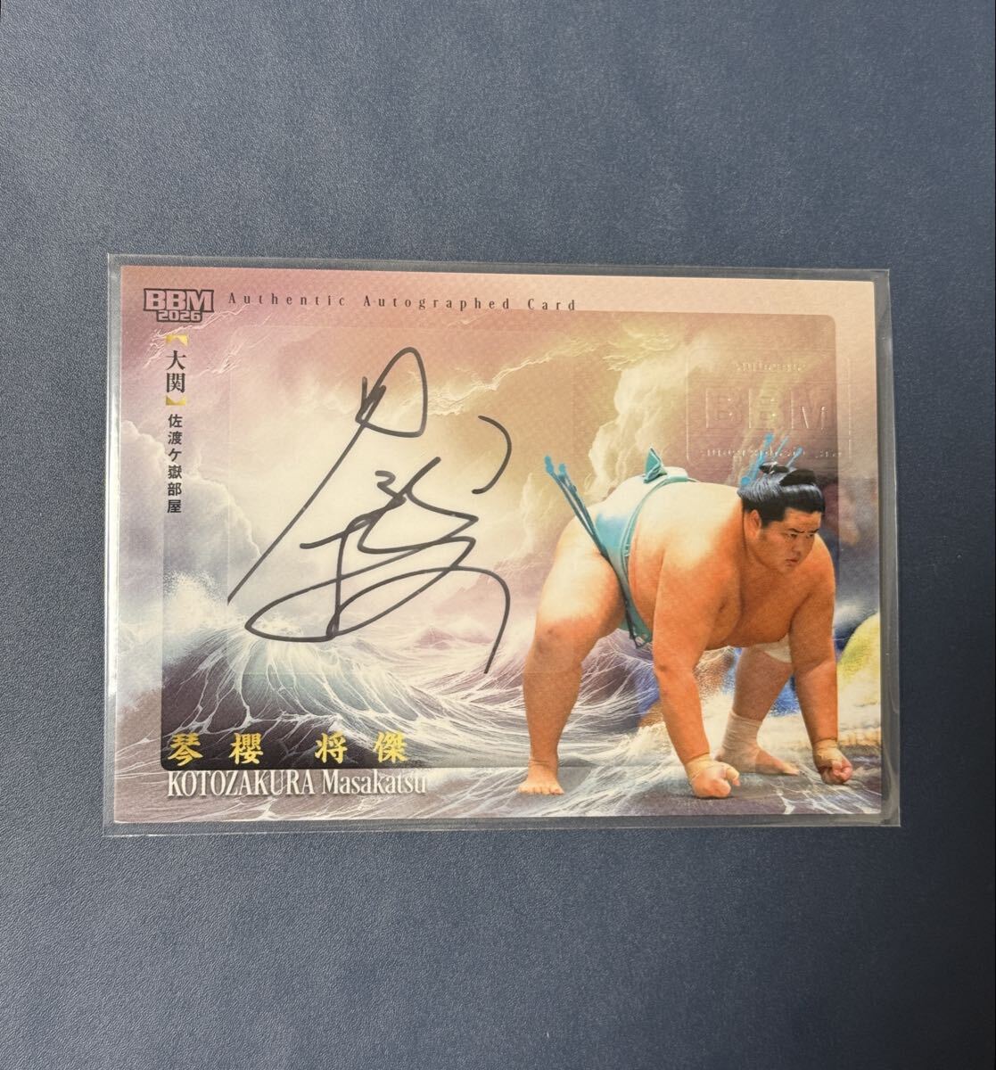 Yahoo!オークション -「琴櫻 サイン」の落札相場・落札価格