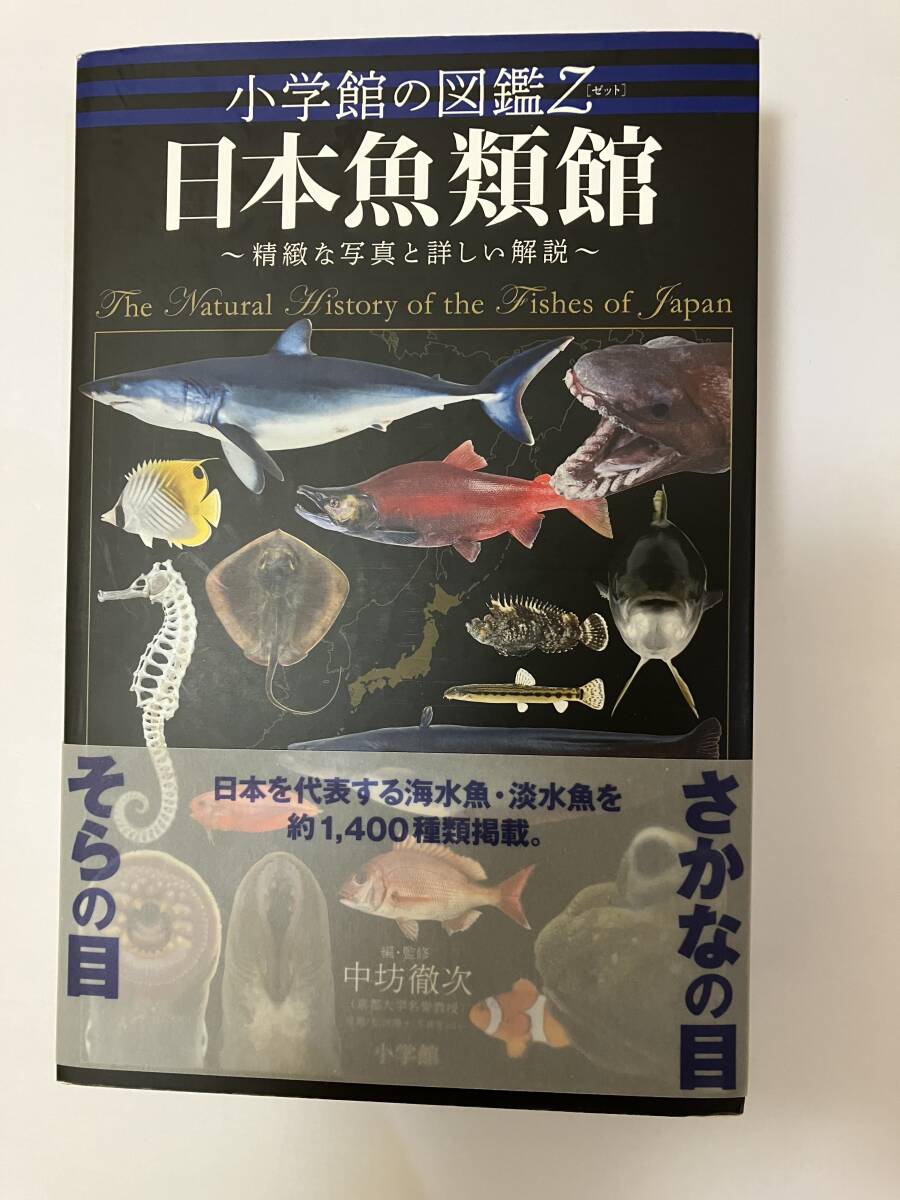 Yahoo!オークション - 南日本太平洋沿岸の魚類 池田博美 中坊徹次 東海