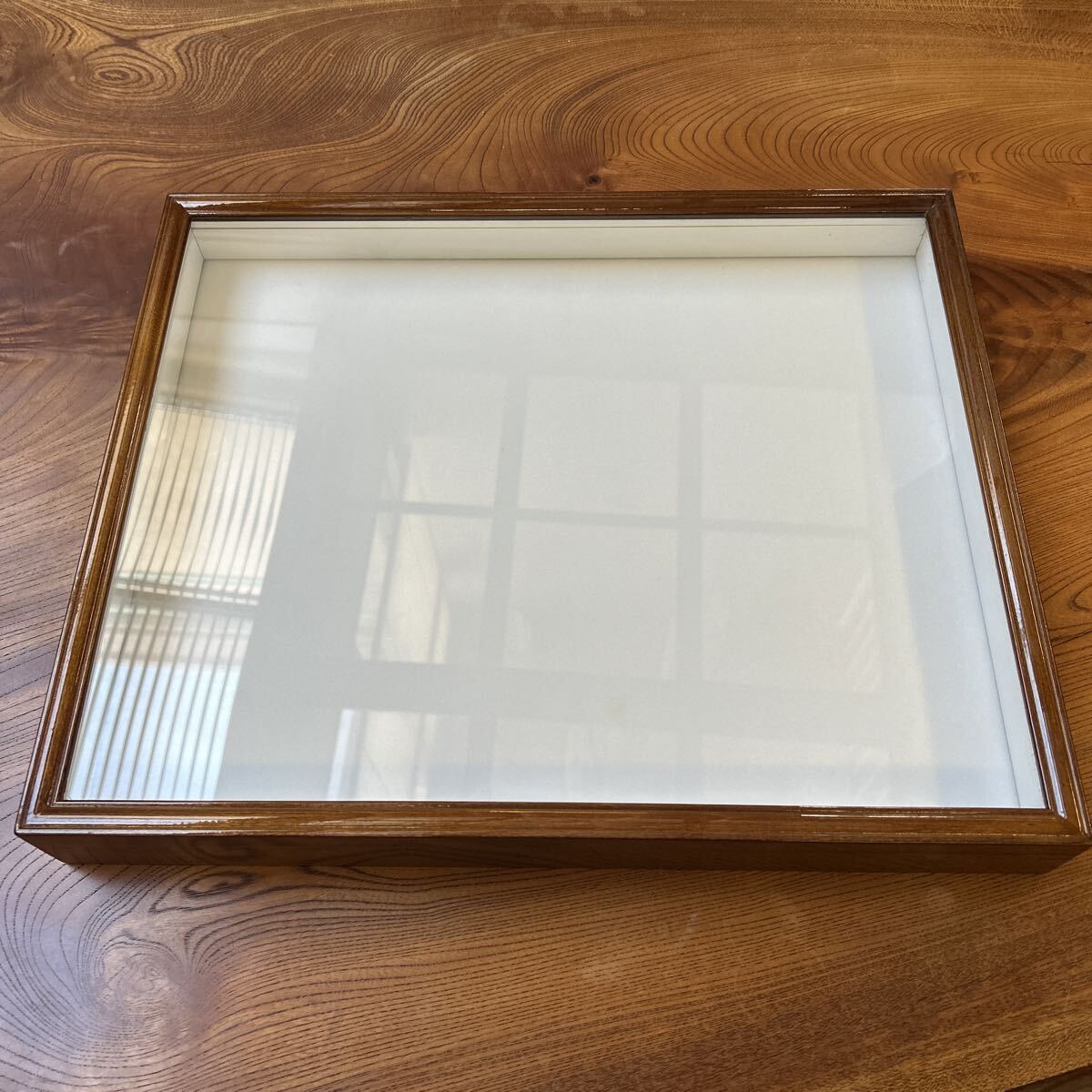 Yahoo!オークション -「標本箱 ドイツ」の落札相場・落札価格