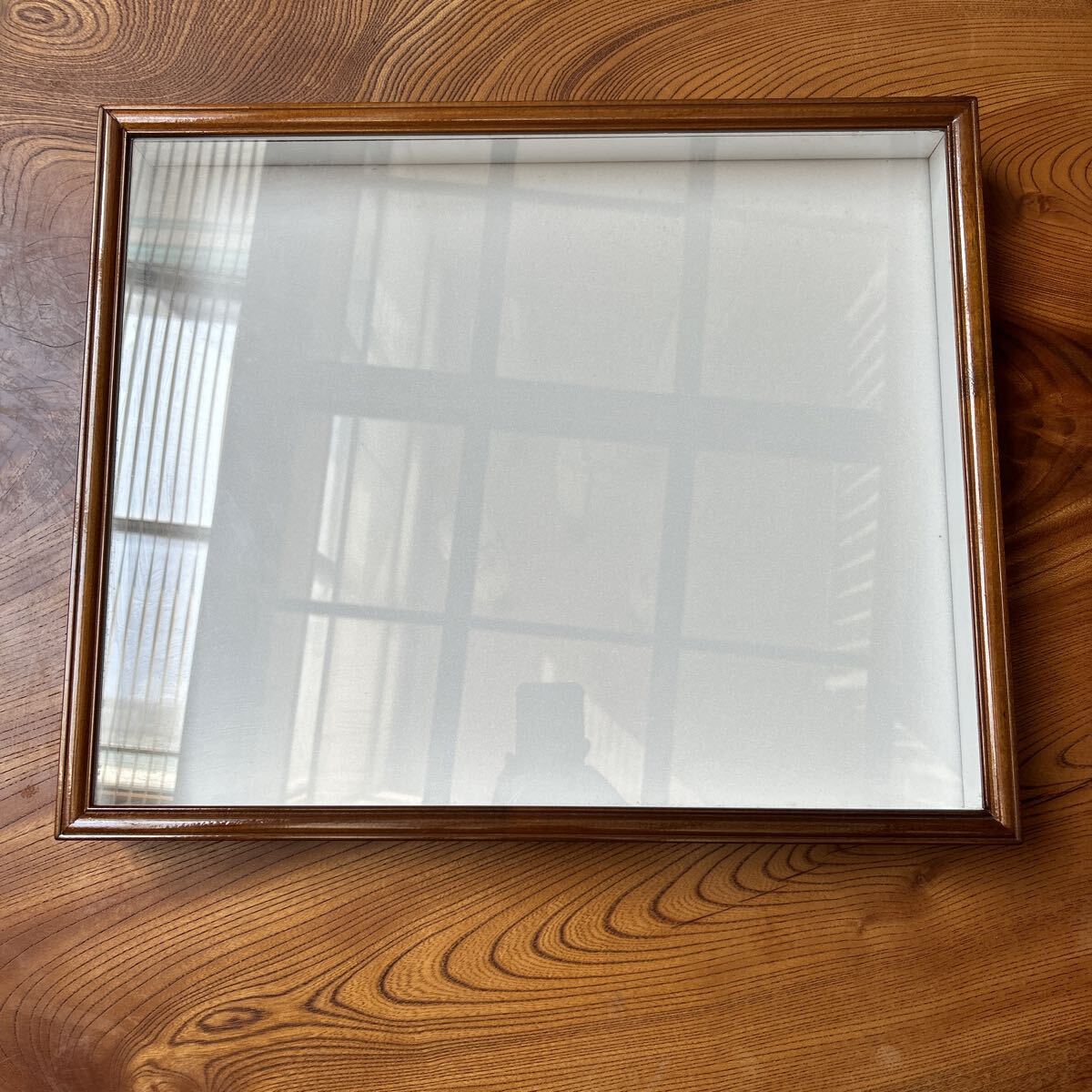 Yahoo!オークション -「ドイツ標本箱」の落札相場・落札価格