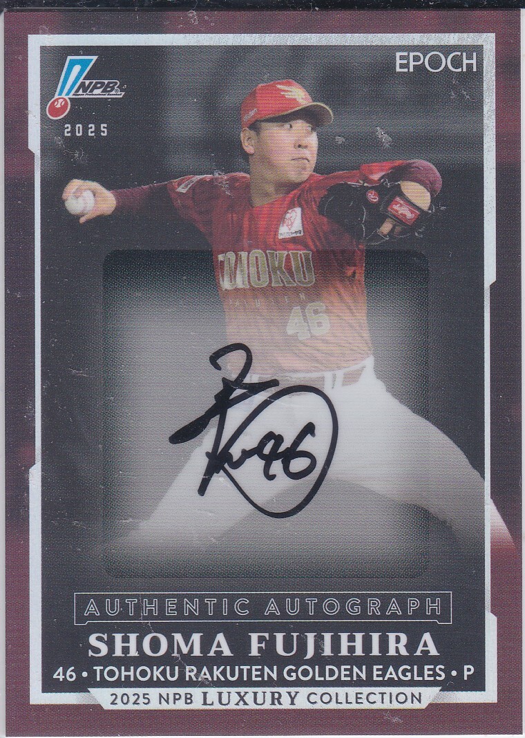 Yahoo!オークション -「藤平尚真サイン」の落札相場・落札価格