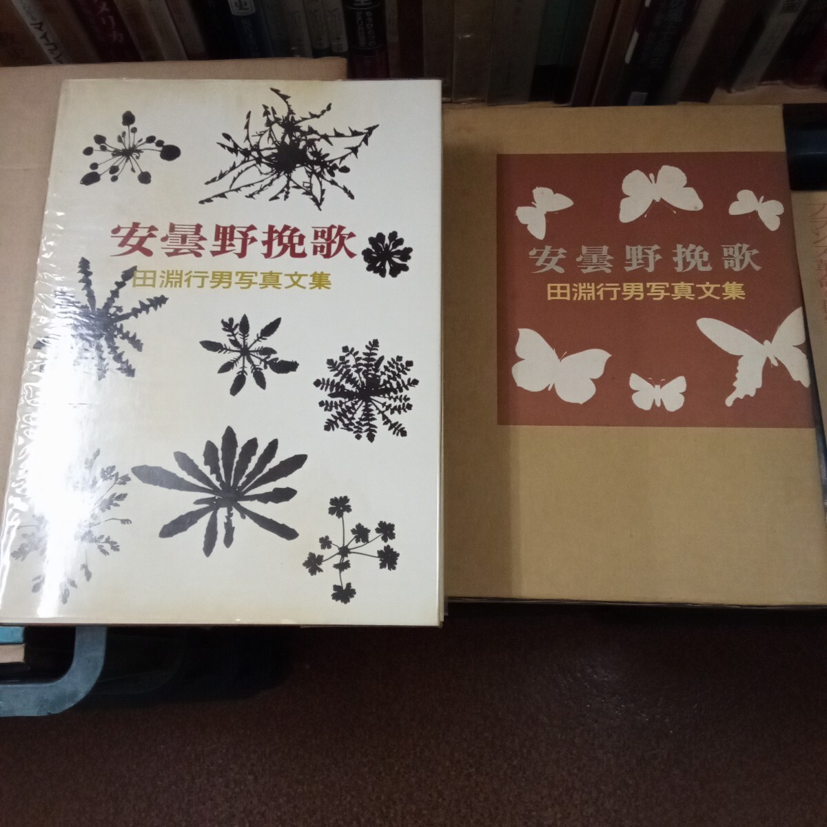 2026年最新】Yahoo!オークション -田淵行男(本、雑誌)の中古品・新品