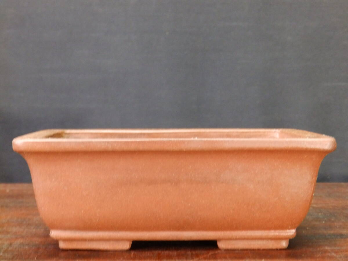 Yahoo!オークション -「中国 朱泥」(鉢) (盆栽用具)の落札相場・落札価格