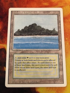 Yahoo!オークション -「tropical island mtg」の落札相場・落札価格