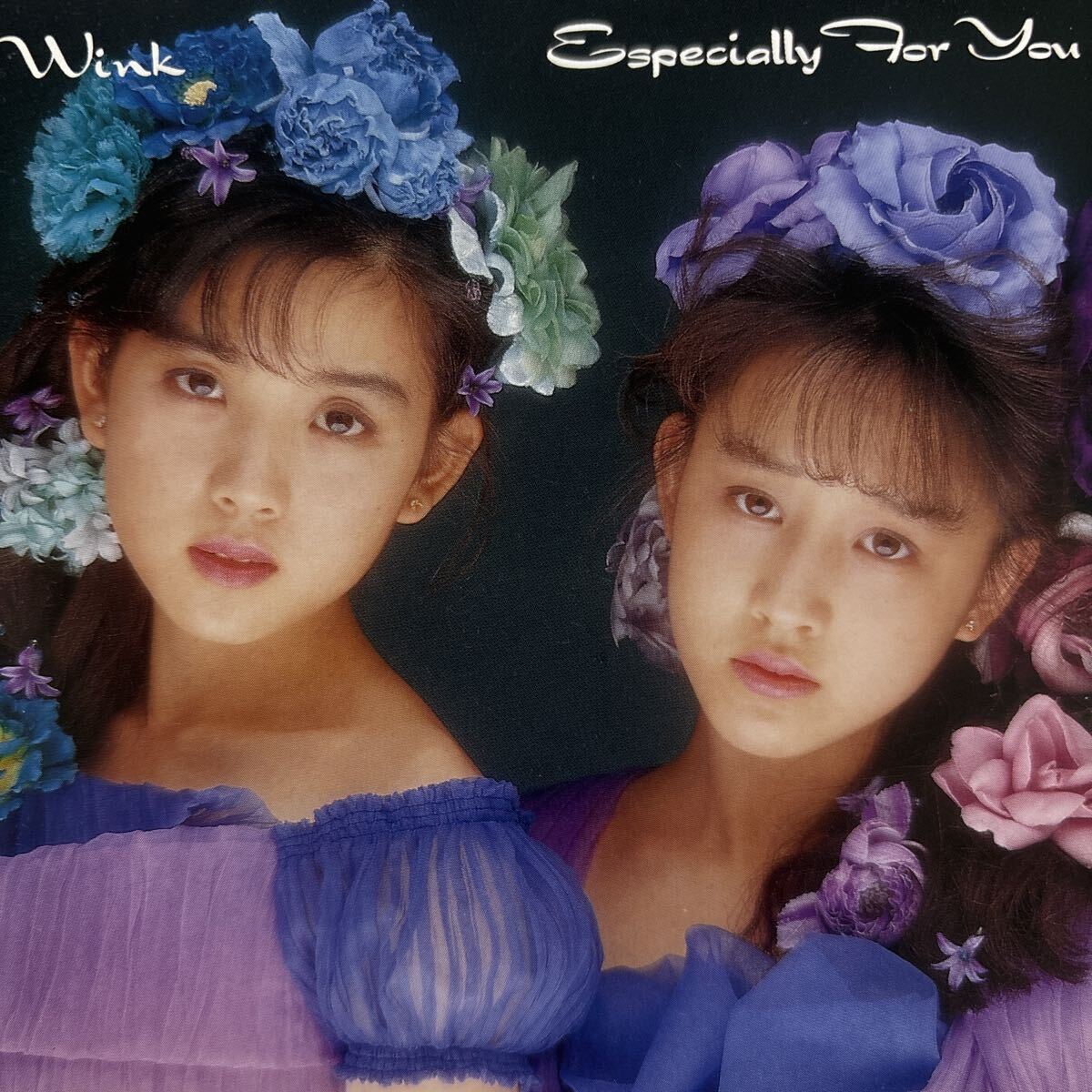 2026年最新】Yahoo!オークション -winkの中古品・新品・未使用品一覧