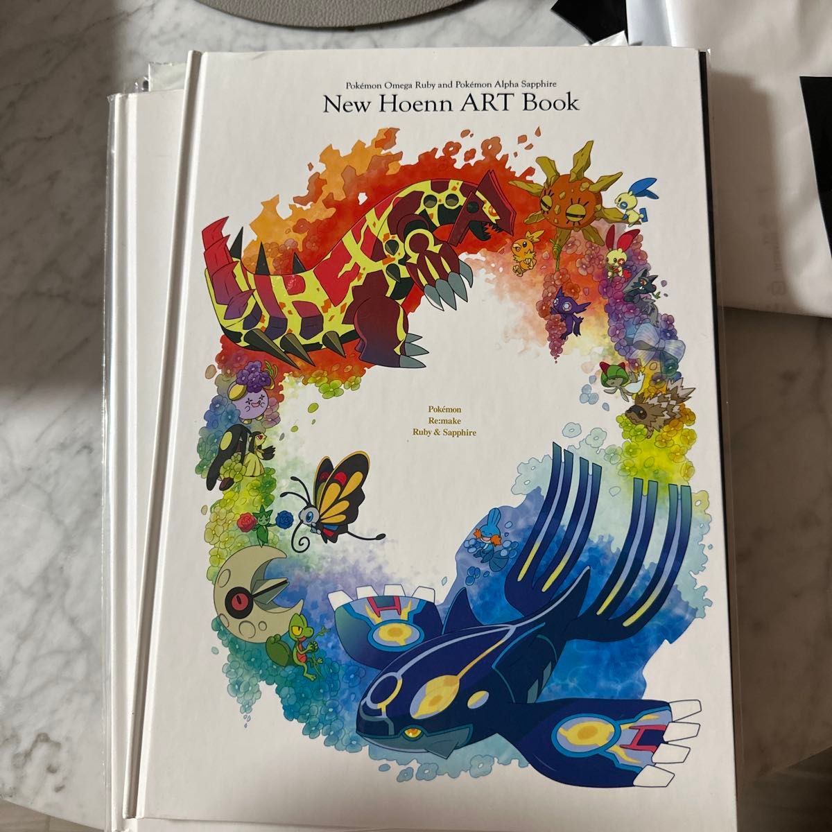 ポケモン サン ムーン アローラアートブック Alola ART Book期間限定