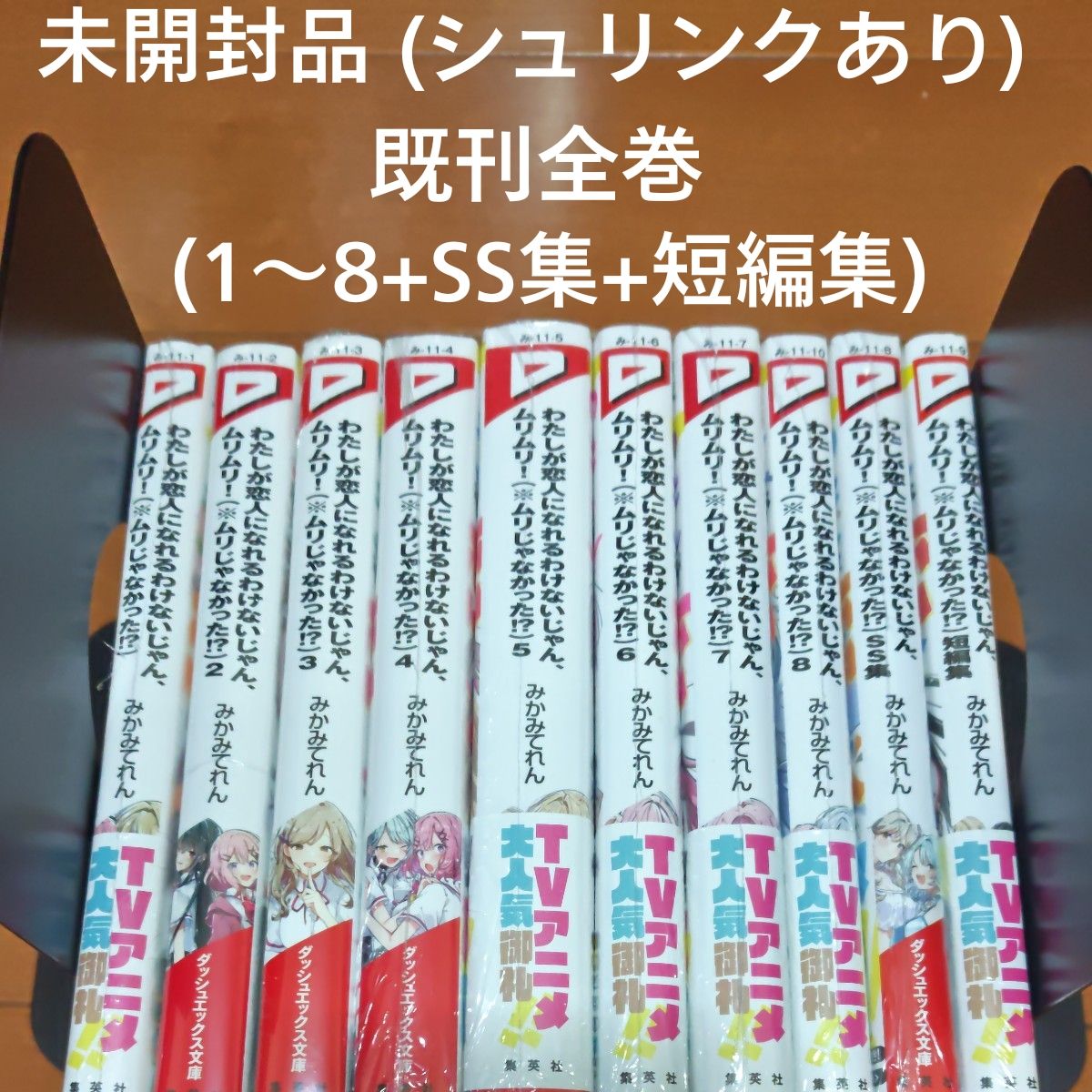 わたしが恋人になれるわけないじゃん ムリムリ 〈 ムリじゃなかった