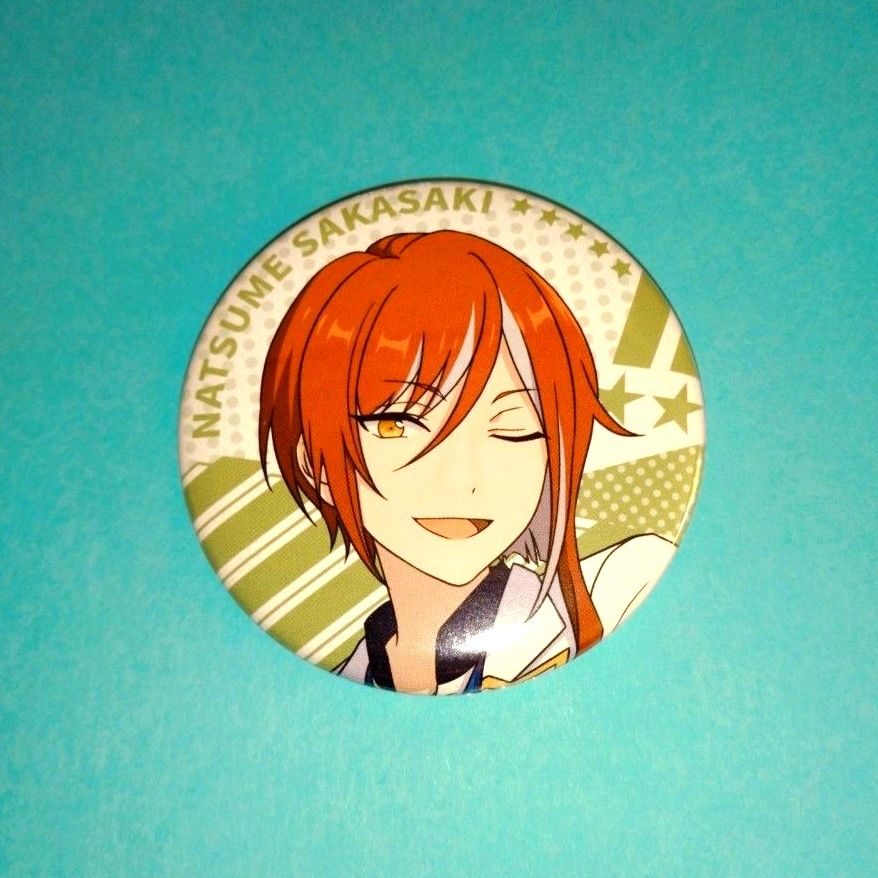 あんさんぶるスターズ あんスタ 五奇人 缶バッジ 夏目 エレメント 逆先