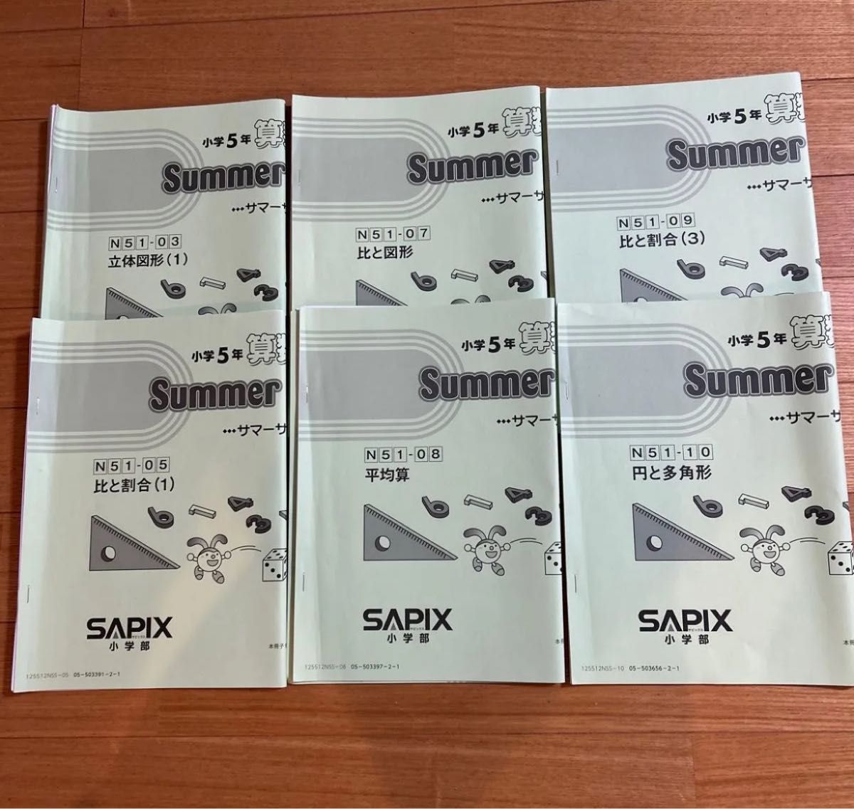 サピックス SAPIX 小学3年 社会夏期講習 サマーサピックスN34-01～04計