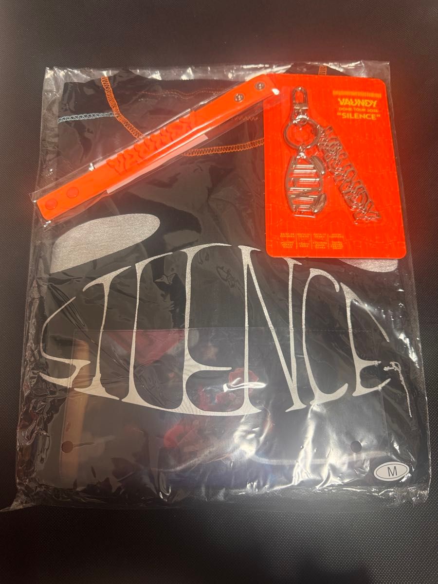 Vaundy DOME TOUR 2024 