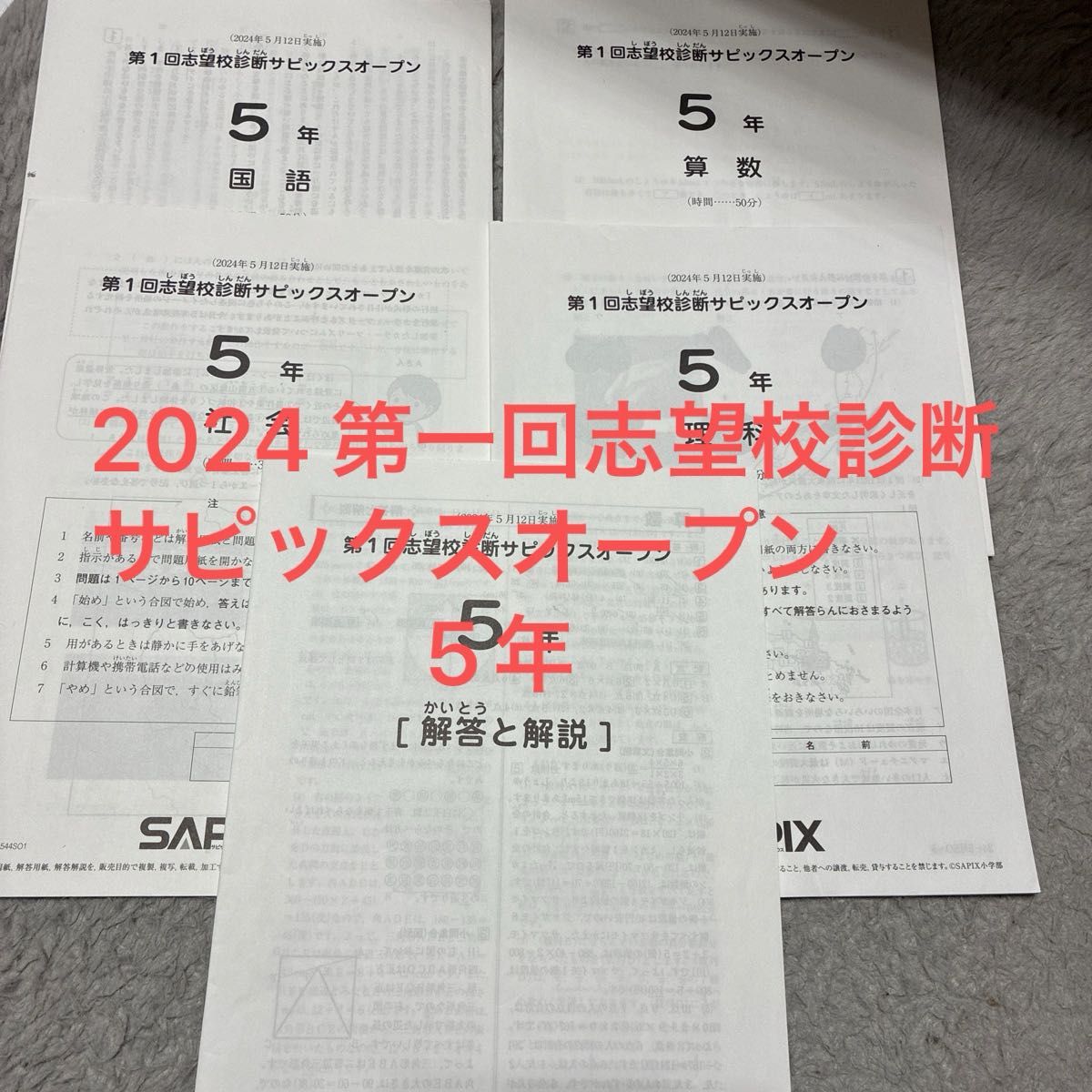 サピックス 5年生 国語読解 テキスト デイリーサピックス 小五 sapix