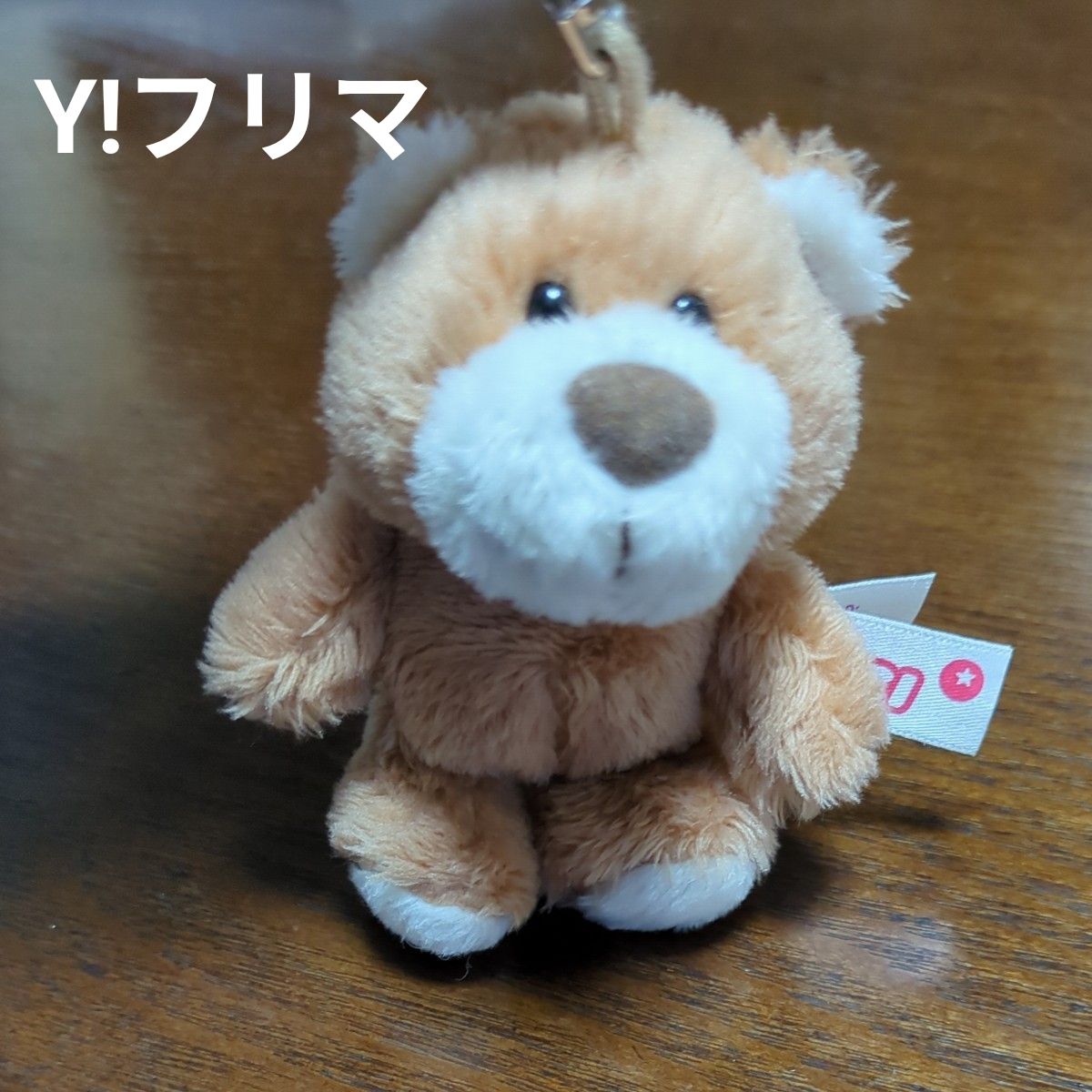 ATEEZ 】 アチズ popup ANITEEZ アニティーズ ジョンベア ぬいぐるみ