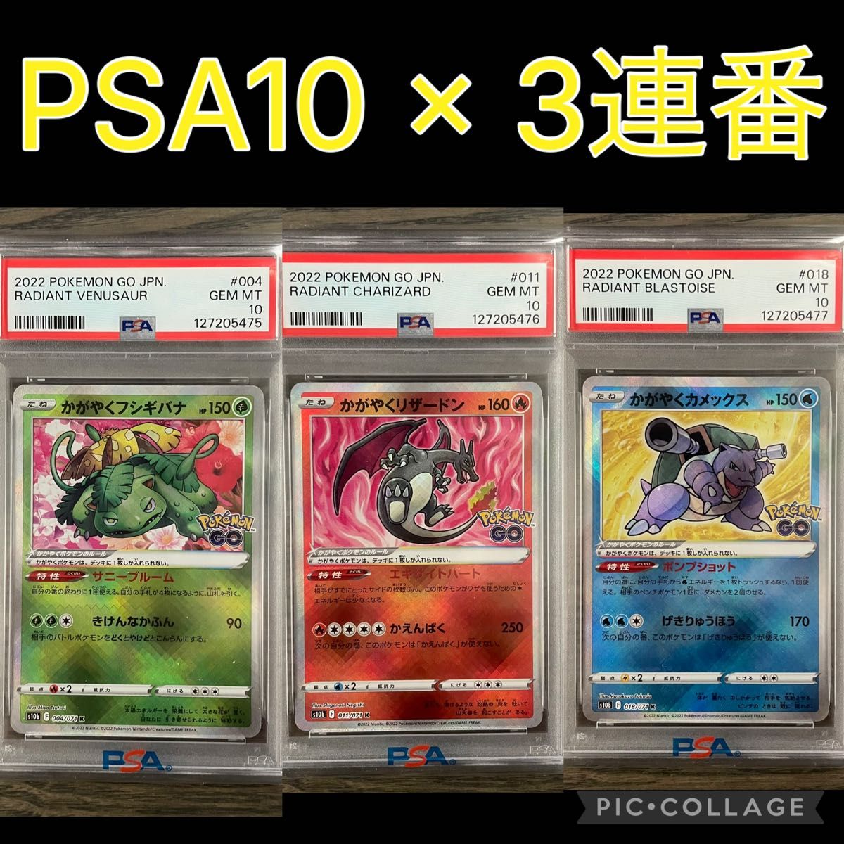 PSA10 9連番 ポケモンカードclassic リザードン カメックス フシギバナ