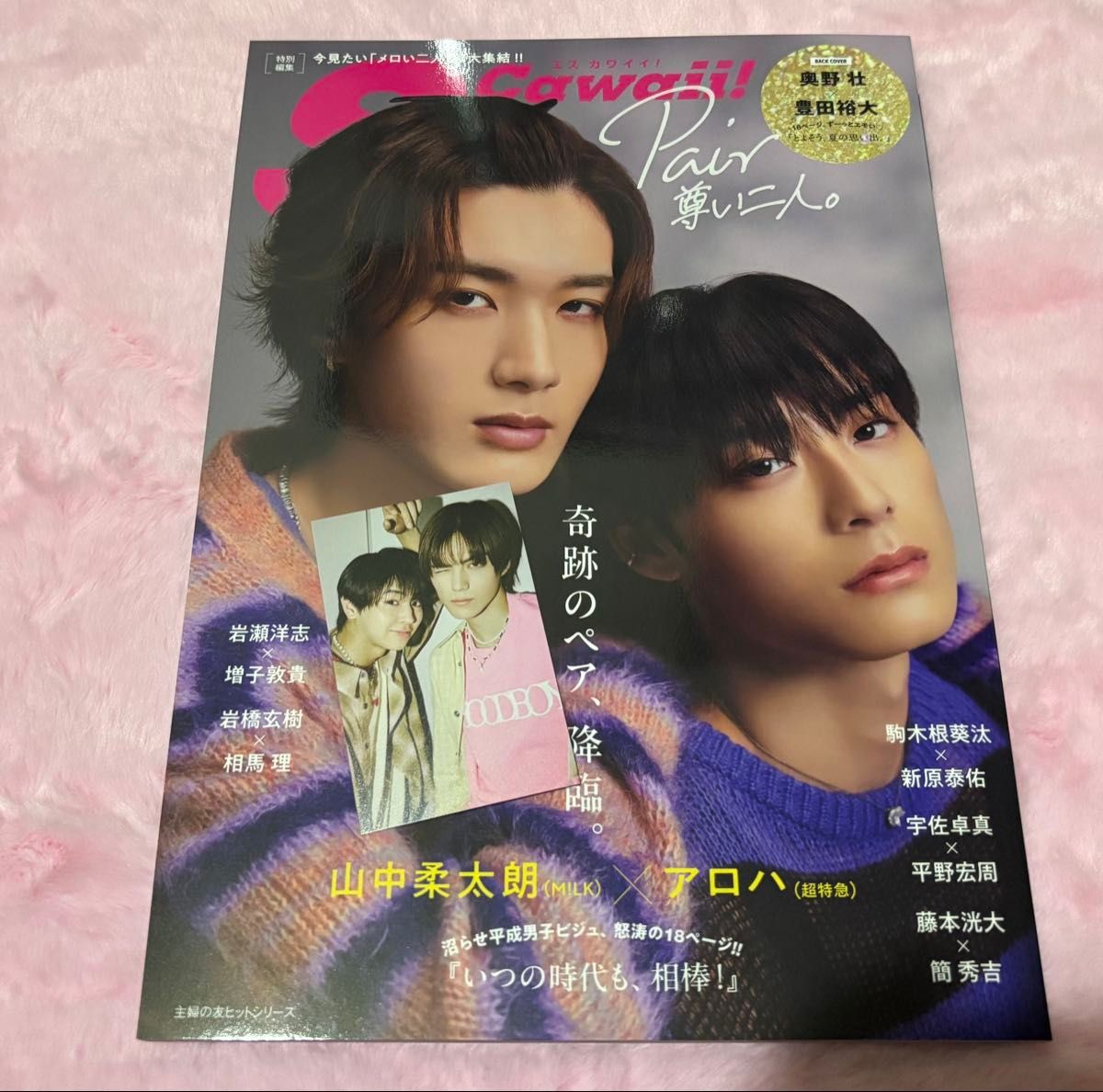 S Cawaii 特別編集Pair 尊い二人 藤本洸大 簡秀吉 限定フォト 縦