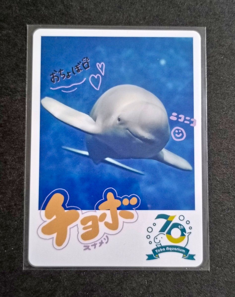 鳥羽水族館 TOBA AQUARIUMコレクションカード レア ラッコ キラメイ