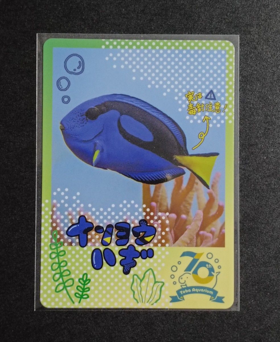 鳥羽水族館 TOBA AQUARIUMコレクションカード レア ラッコ キラメイ