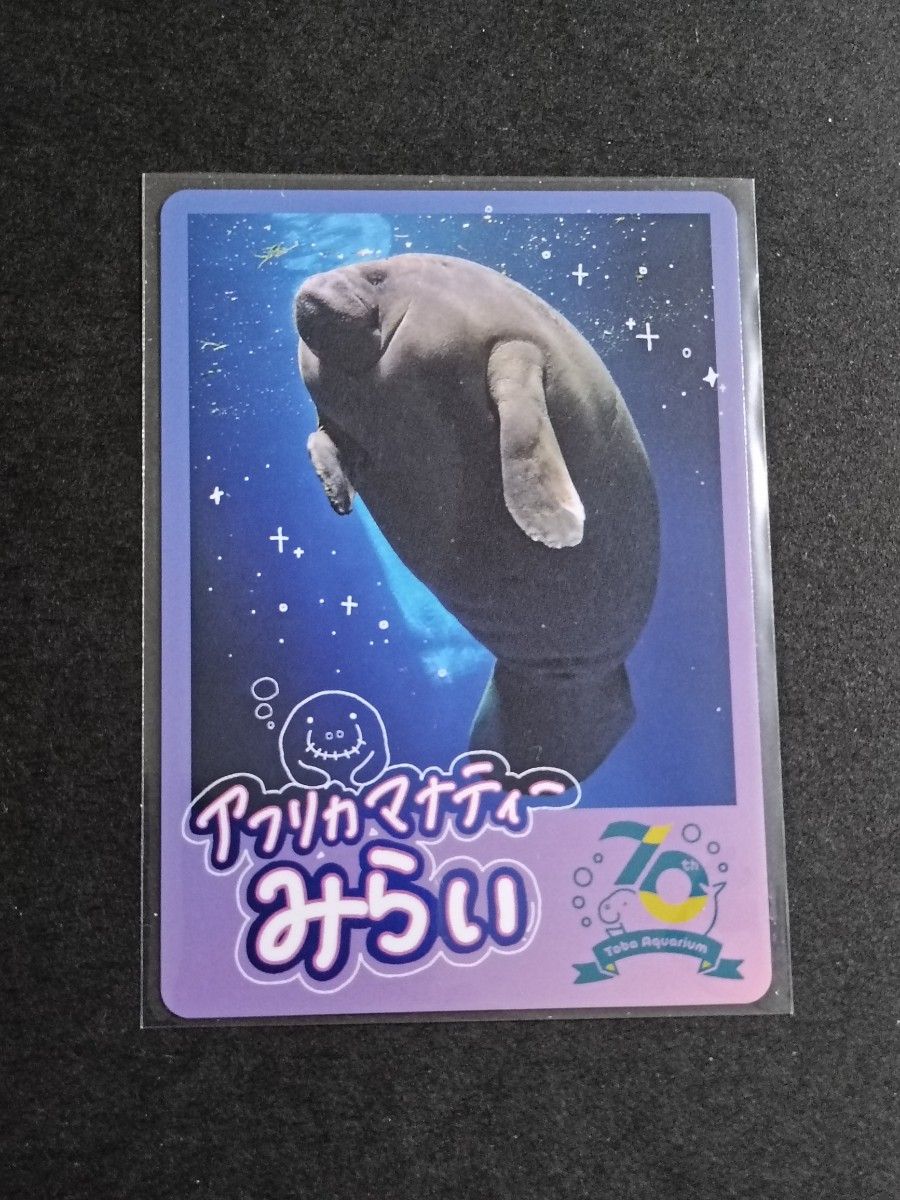 鳥羽水族館 TOBA AQUARIUMコレクションカード レア ラッコ キラメイ
