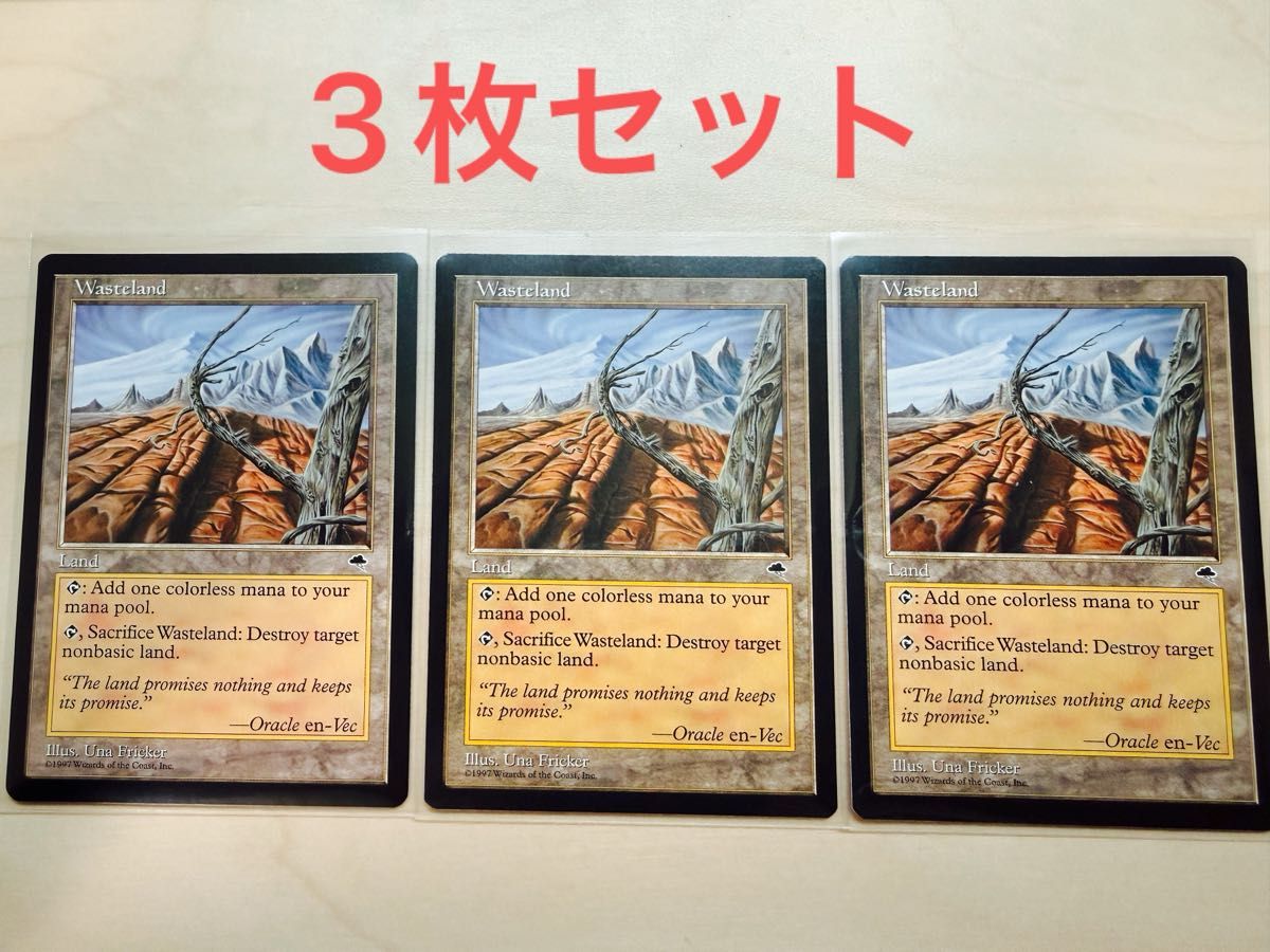 不毛の大地 Wasteland MTG 日本語 TMP｜Yahoo!フリマ（旧PayPayフリマ）