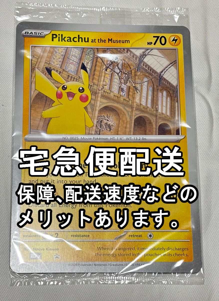10枚おまとめ特別価格 イギリス ロンドン 自然史博物館ピカチュウ