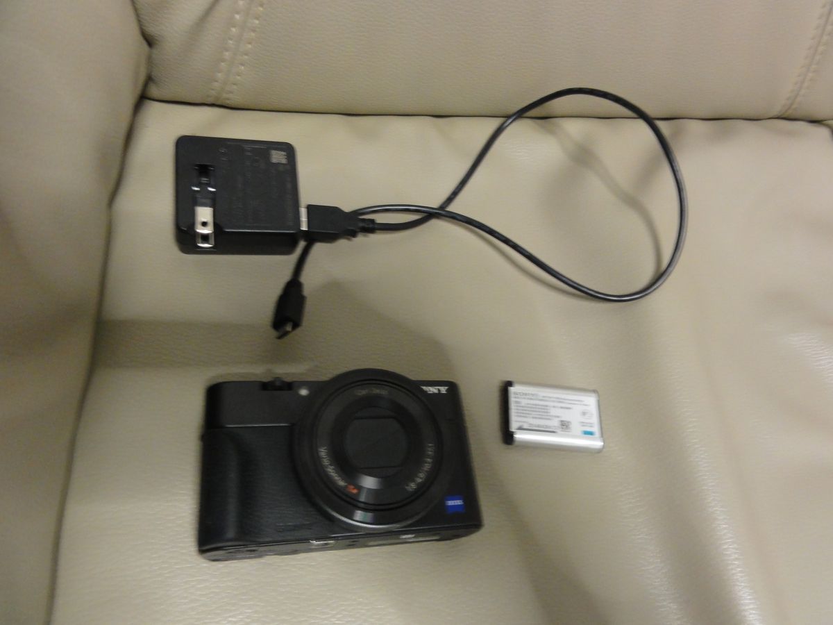 美品SONY Cyber-shot DSC-RX100本体 充電器 取説 化粧箱｜Yahoo!フリマ