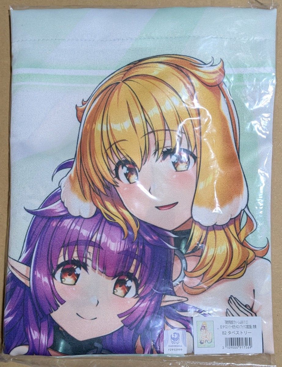 異世界迷宮でハーレムを12巻メロンブックス特典クリアファイル付き