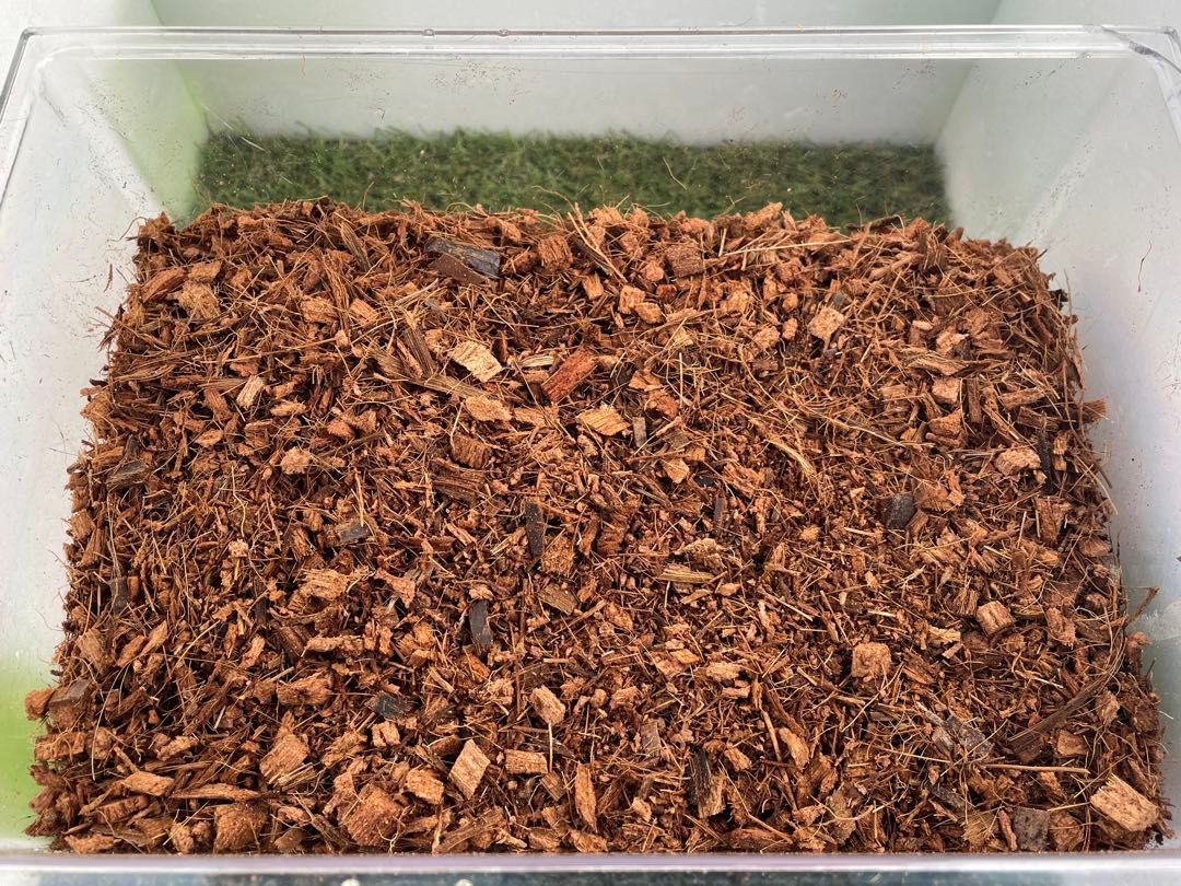 3S約50Lヤシガラハスクチップ｜Yahoo!フリマ（旧PayPayフリマ）