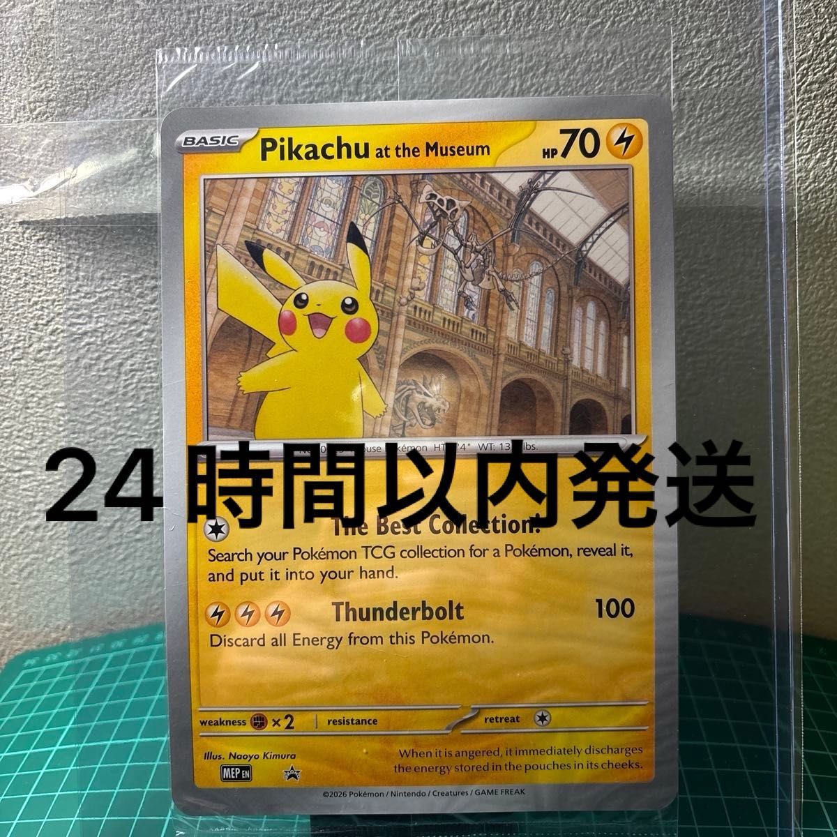 10枚おまとめ特別価格 イギリス ロンドン 自然史博物館ピカチュウ