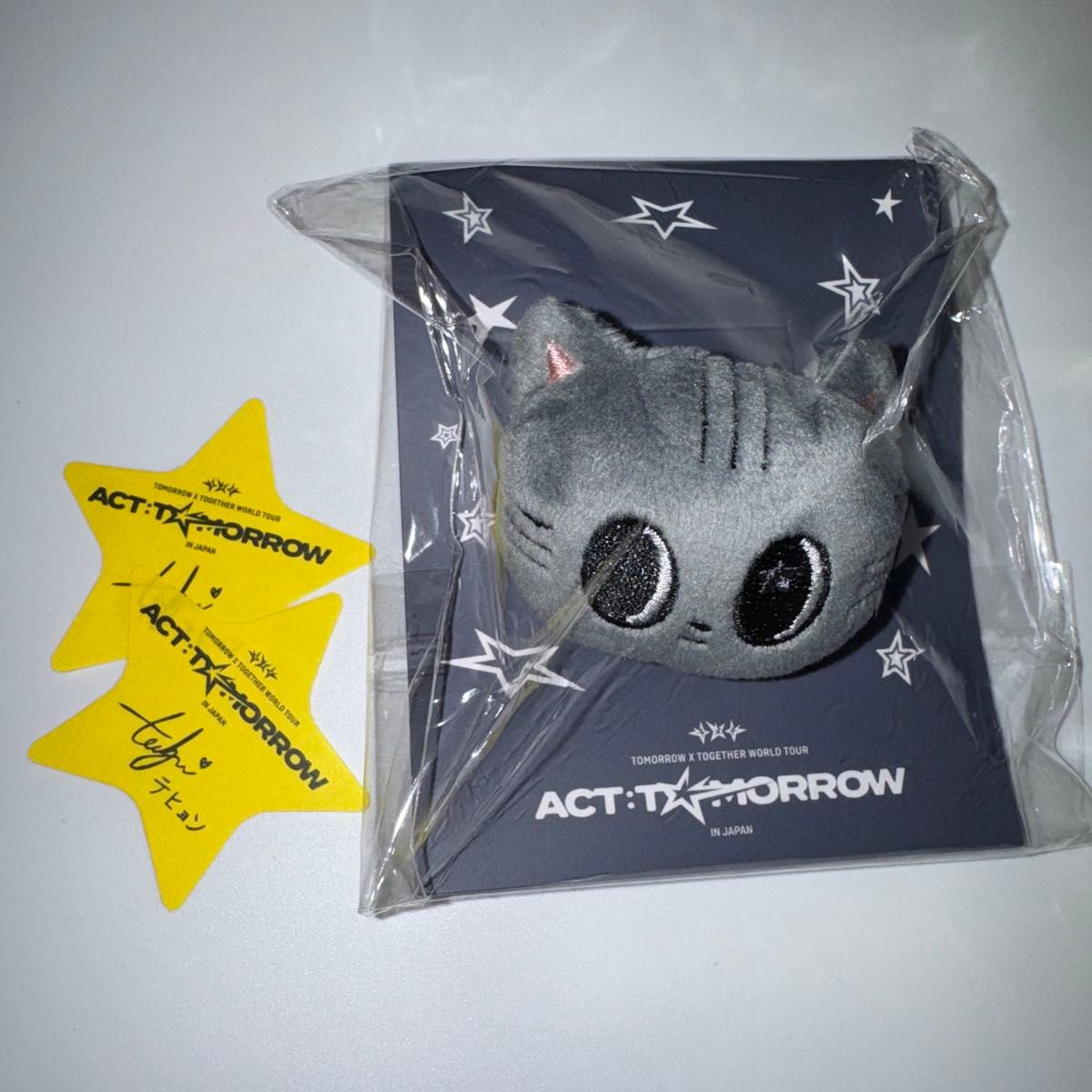 新品】TXT テヒョン ダゴニャン バースデー 誕生日｜Yahoo!フリマ（旧