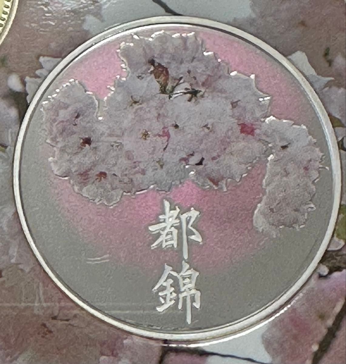 120周年限定】造幣局 桜の通り抜け カラー 銀メダル 20g 大手毬