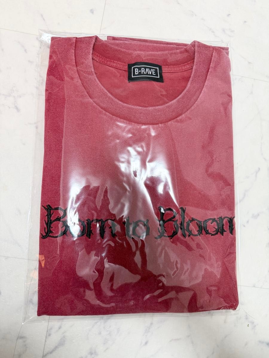 新品・未開封 HANA ハナ ロゴ Tシャツ Lサイズ BMSG 公式 ノノガ