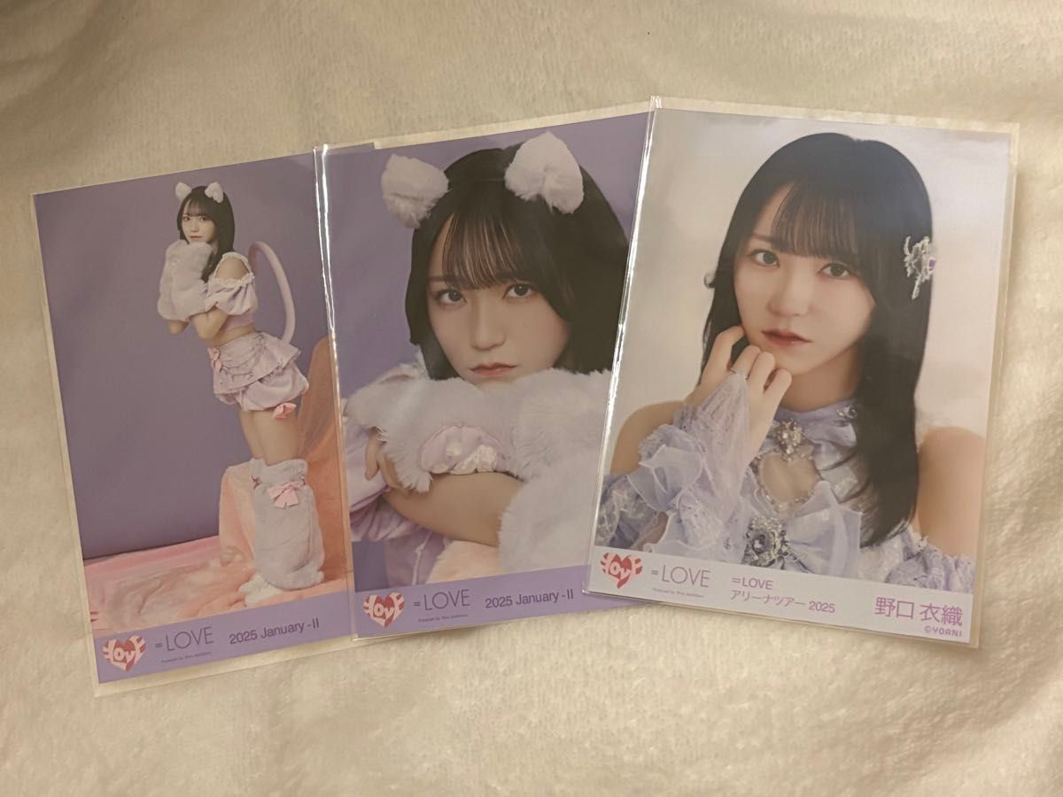 イコラブ ＝LOVE 野口衣織 7周年衣装 猫 生写真 コンプ｜Yahoo!フリマ