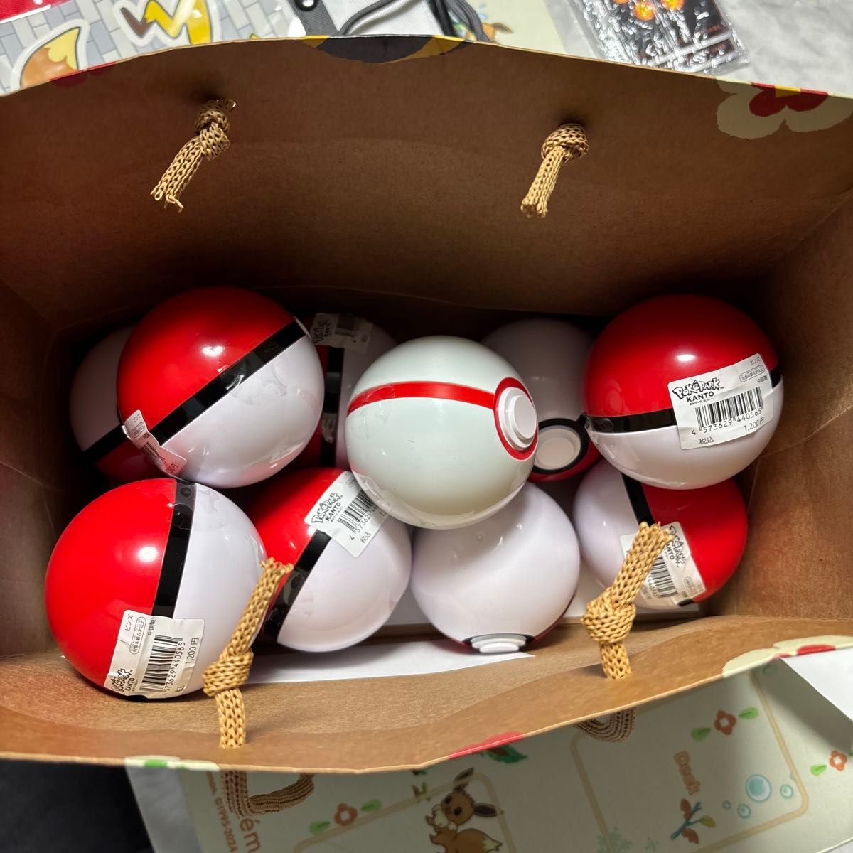 ポケパークカントー限定】ピンバッジ10点セット＋プレミアボール