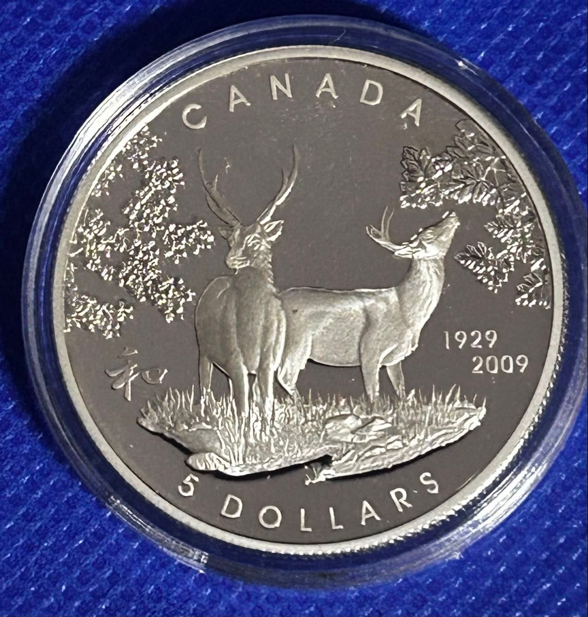 カナダ メイプルリーフ 25周年記念 2013年 1オンス銀貨 純銀 99 99